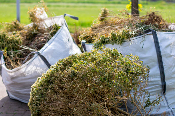 Best Hoarding Cleanup  in Waxhaw, NC